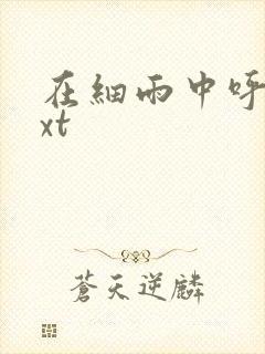 在细雨中呼喊txt