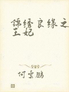 锦绣良缘之北地王妃