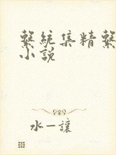 系统集精系统 小说