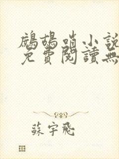 鹧鸪哨小说网站免费阅读无弹窗