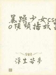 暴躁少女csgo视频播放器推荐