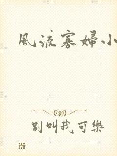 风流寡妇小说