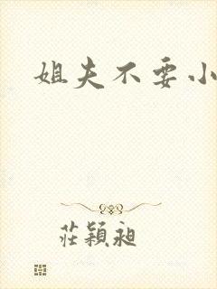 姐夫不要小说