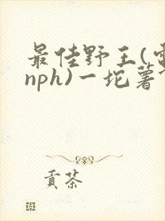 最佳野王(电竞nph)一坨薯饼