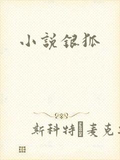 小说银狐