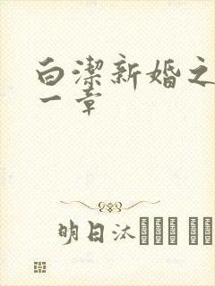 白洁新婚之夜第一章