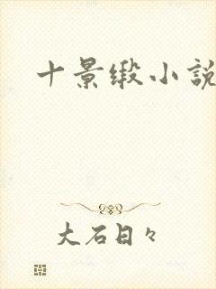 十景缎小说