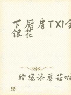 下厨房TXl金银花