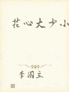 花心大少小说