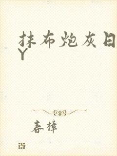 抹布炮灰日记BY