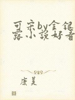 可宋by金银花露小说好看吗
