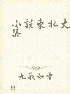 小说东北大炕全集