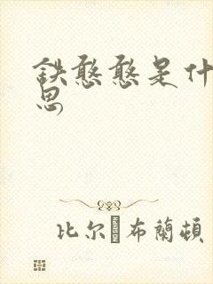 铁憨憨是什么意思