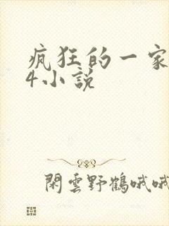 疯狂的一家ps4小说