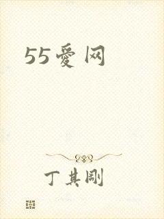 55爱网