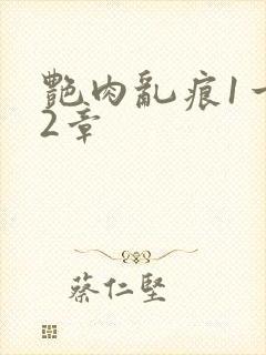 艳肉乱痕1一12章