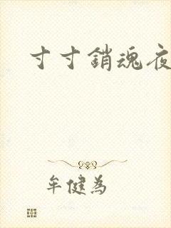 寸寸销魂夜春光