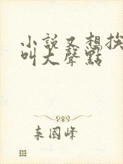 小说又想挨C了叫大声点