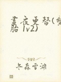 昼夜更替(双胞胎 1v2)