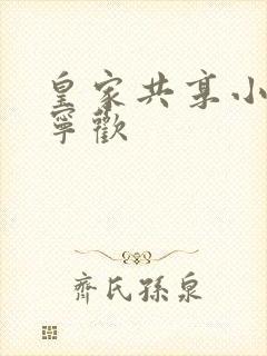 皇家共享小公主宁欢