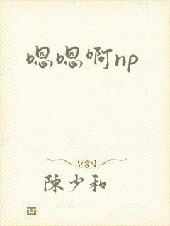 嗯嗯啊np