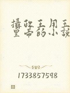 摄政王用玉髓整皇帝的小说