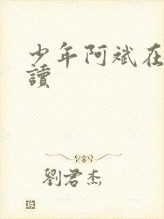 少年阿斌在线阅读