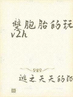 双胞胎的玩具1v2h