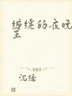 缠绕的夜晚双男主