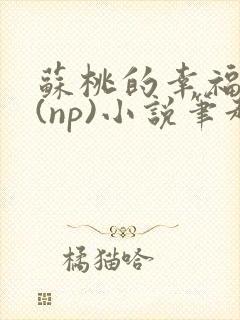 苏桃的幸福生活(np)小说笔趣阁