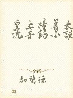 皇上撞着太子妃沈音的小说叫什么