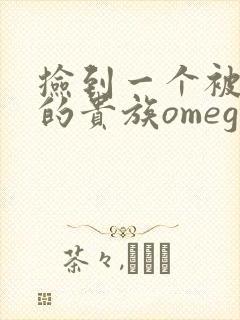 捡到一个被抹布的贵族omega