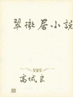 翠微居小说