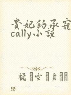 贵妃的承宠日常cally小说