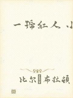 一号红人 小说
