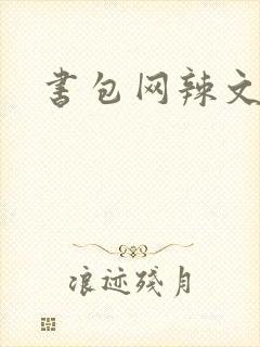 书包网辣文合集