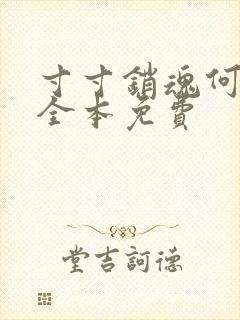 寸寸销魂何生祥全本免费