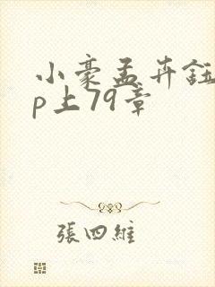 小豪孟卉钰慧三p上79章