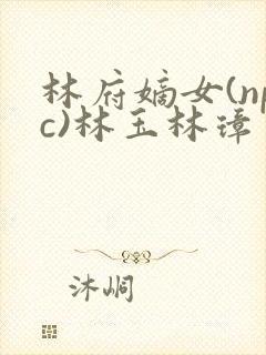 林府嫡女(npc)林玉林璋