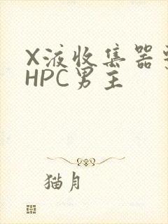 X液收集器系统HPC男主