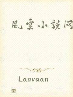 风云小说网