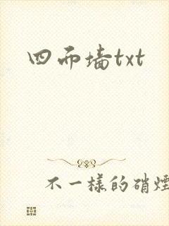 四面墙txt