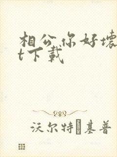 相公你好坏txt下载