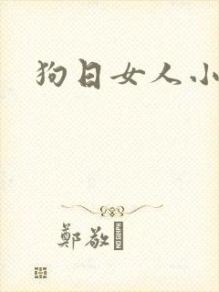 狗日女人小说