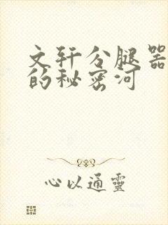 文轩分腿器河马的秘密河