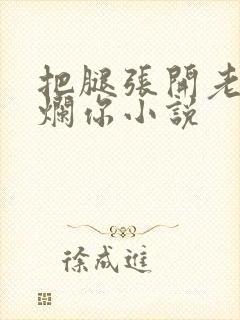 把腿张开老子臊烂你小说