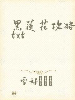 黑莲花攻略手册txt