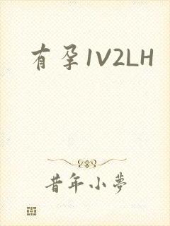 有孕1V2LH