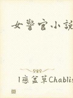 女警官小说
