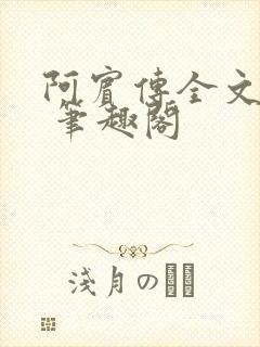 阿宾传全文阅读 笔趣阁